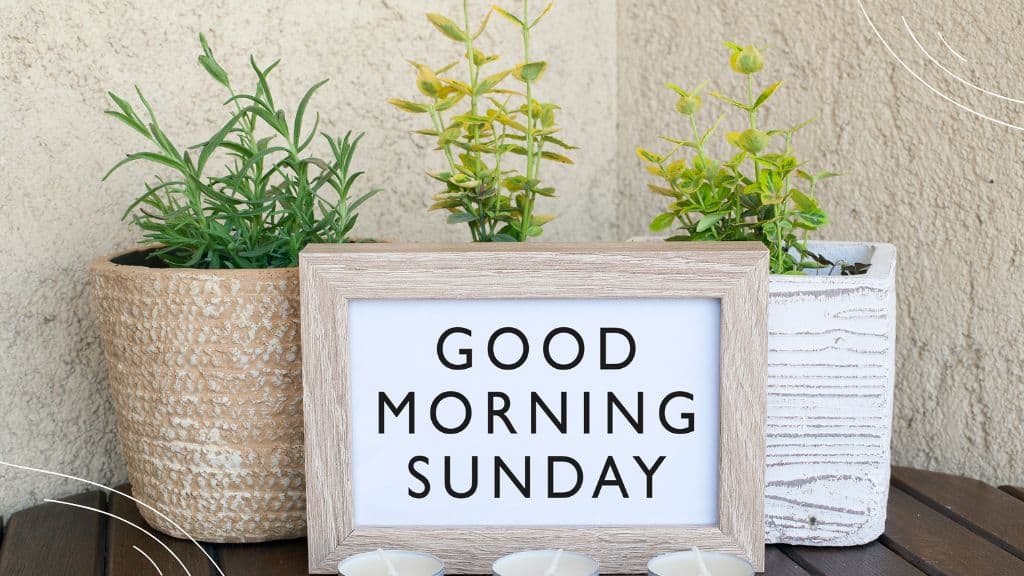 sunday prayers for family and friends - (3) - Good morning sunday sign in front of potted plants