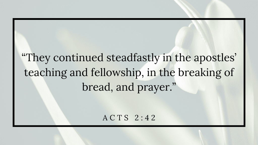 Prayers for February (8) acts 2 42