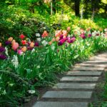 prayer for the new month of march (6) assorted flowers on either side of a stone path
