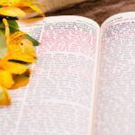 Printable Easter Scriptures for Kids (3) spring flowers resting on a Bible
