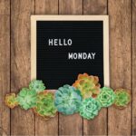monday prayers - sign says hello Monday with succulent border against wood background