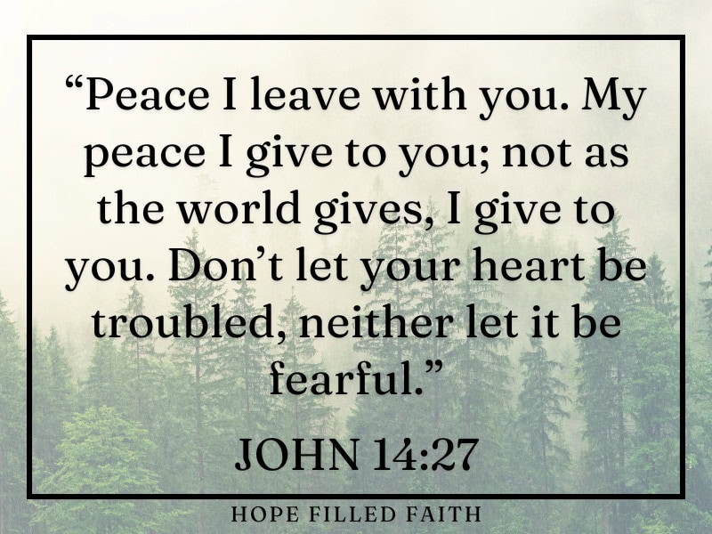 John 14 27 - what the Bible says about rest