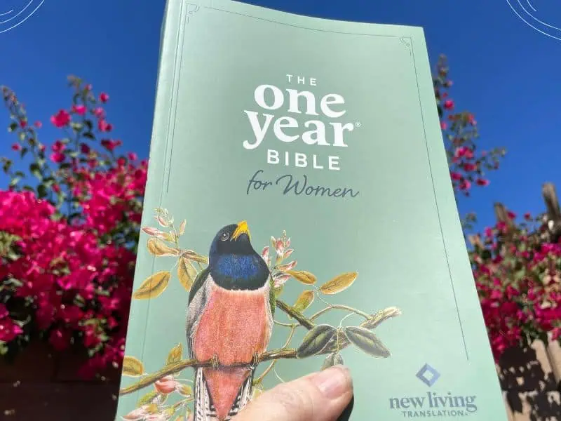 one year Bible for women - Bible against blue sky