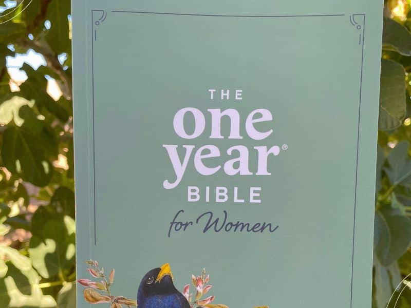 one year Bible for women - Bible with tree in background (2)