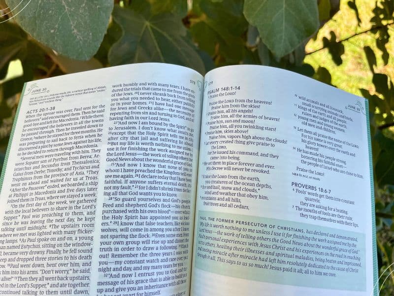 one year Bible for women - Bible with tree in background