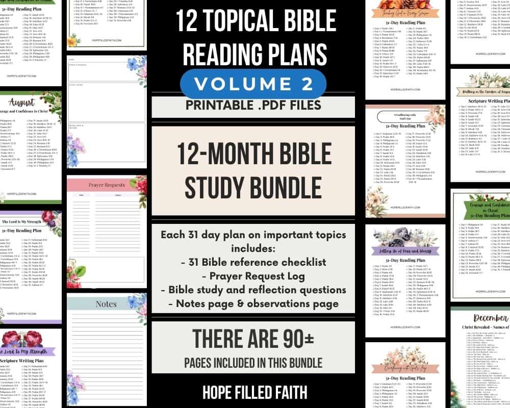 12 month Bible Study Bundle - 12 Topical Bible Reading Plans
